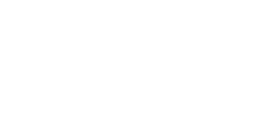 Donald Rigging logo