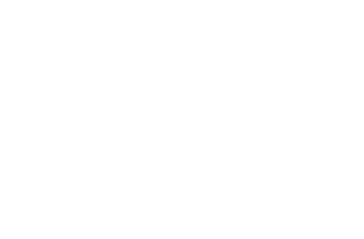 IRH logo